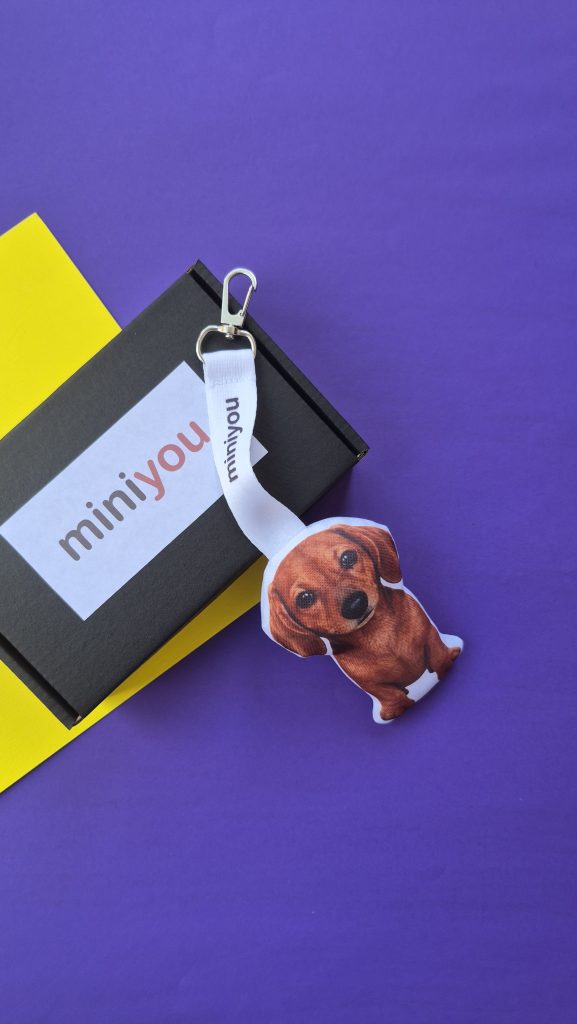 Готова робота MiniYou